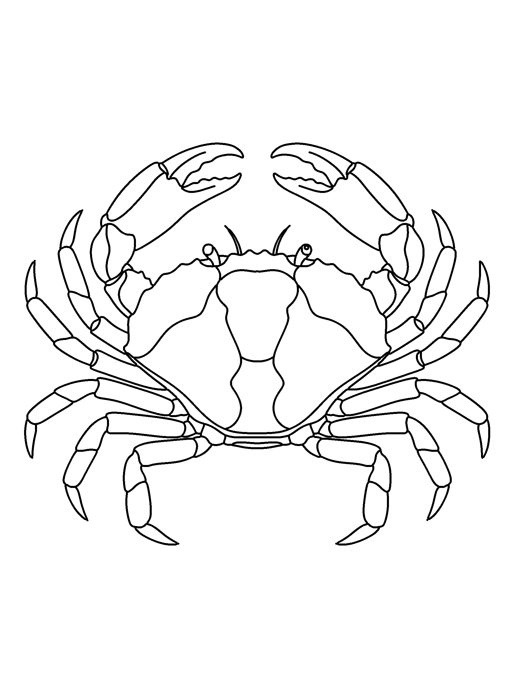 Crab coloring page — detailed