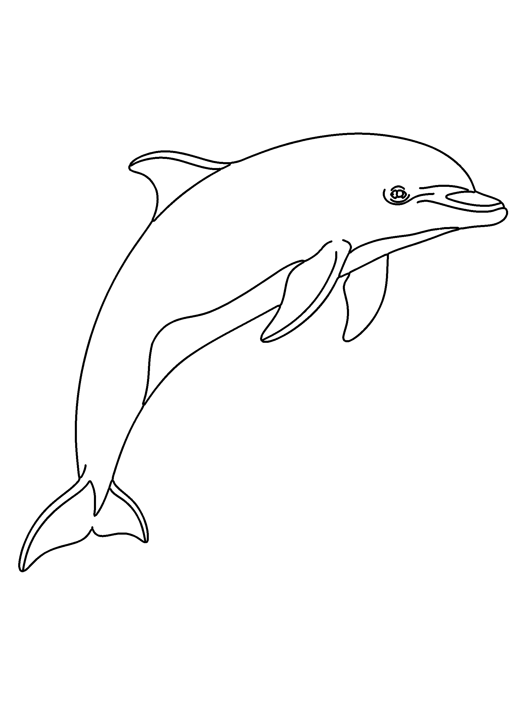 Dolphin coloring page — detailed