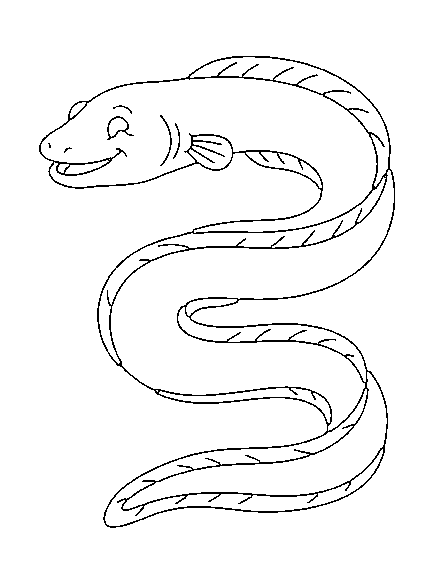 Eel coloring page — standard