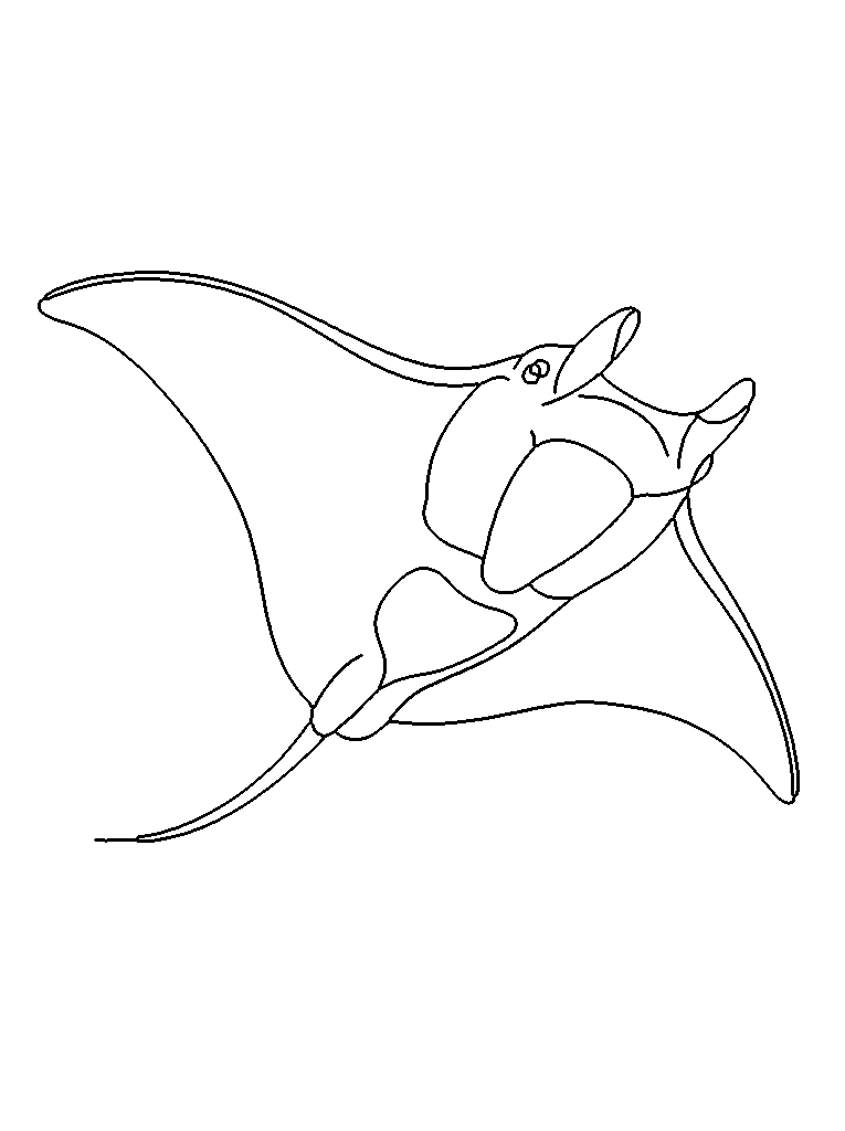 Manta ray coloring page — detailed