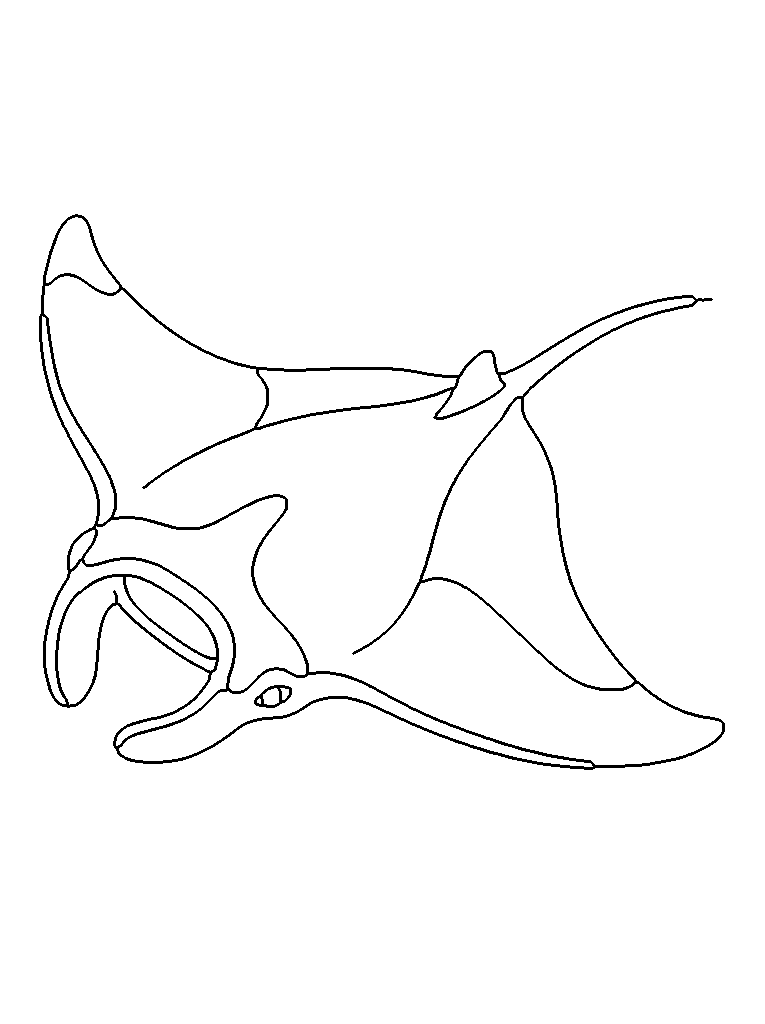 Manta ray coloring page — easy