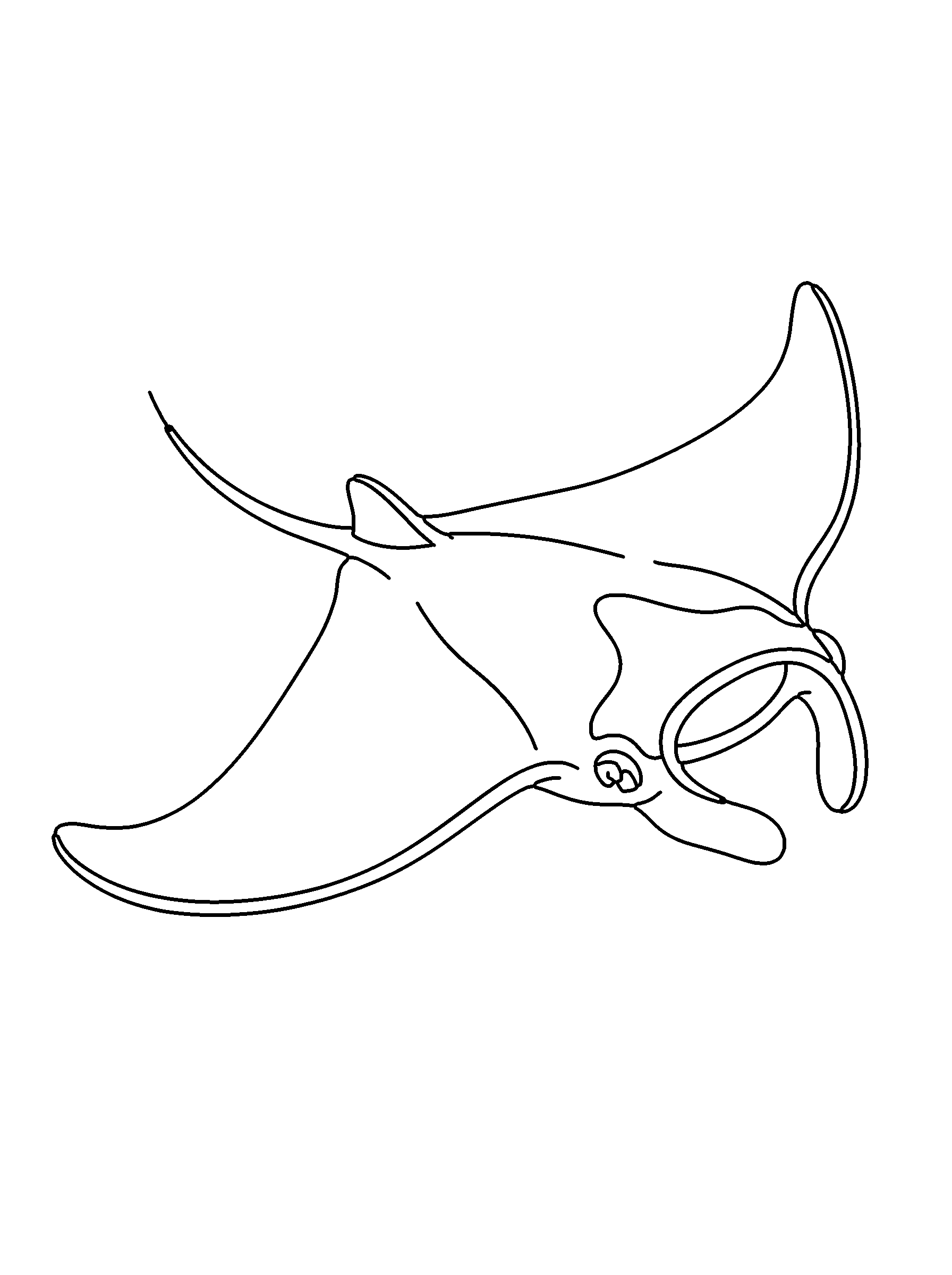 Manta ray coloring page — standard