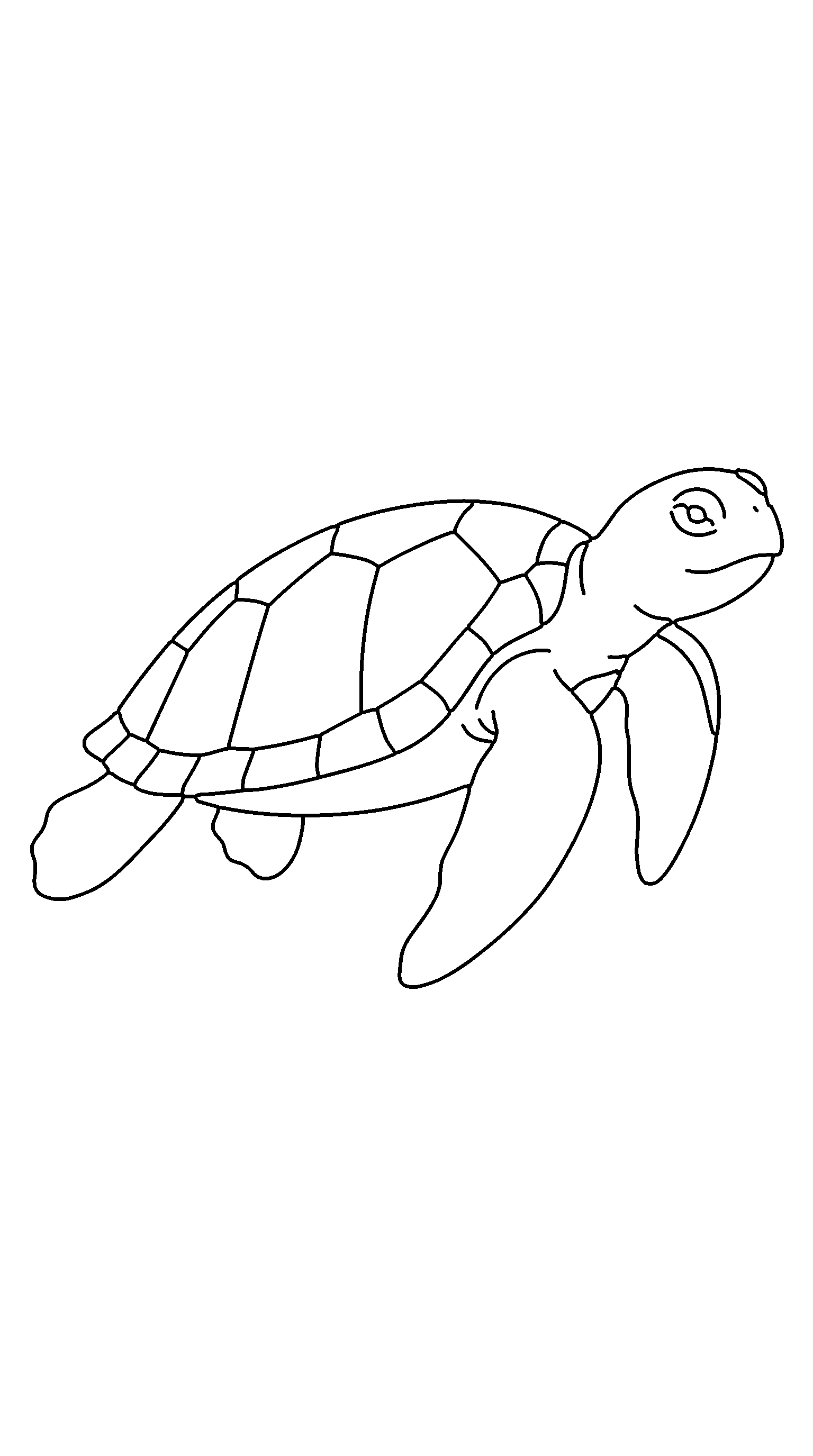 sea turtle coloring page in the jungle scene