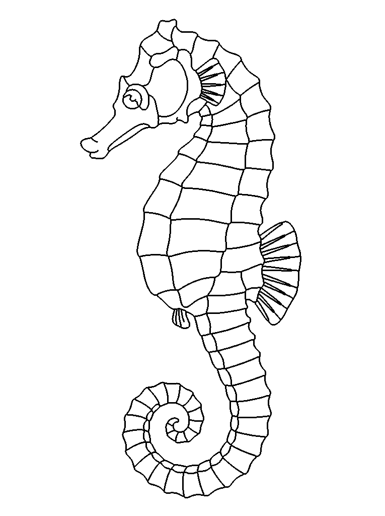 Seahorse coloring page — detailed