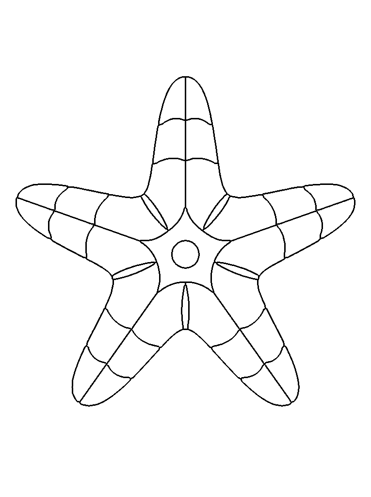 Starfish coloring page — detailed