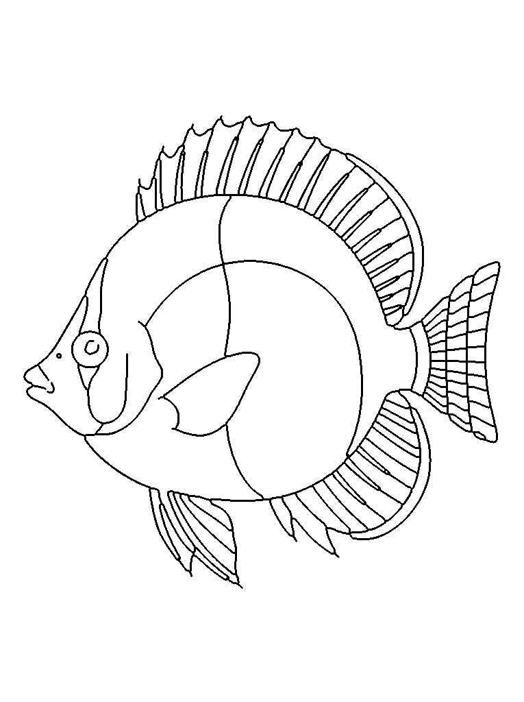 Tropical fish coloring page — detailed