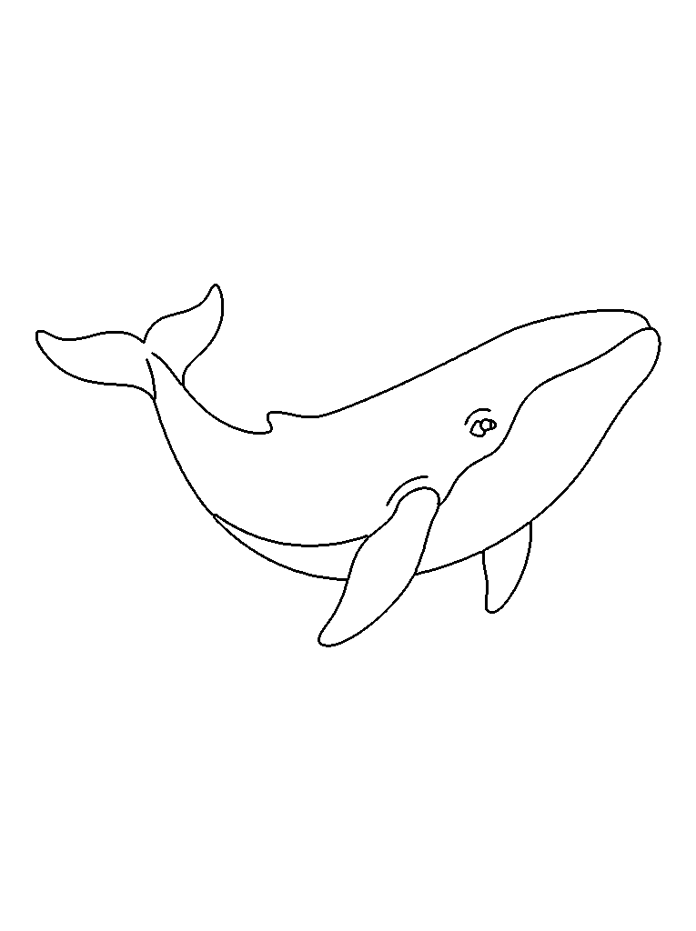 whale coloring page